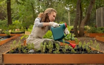 Thriving Vegetable Garden